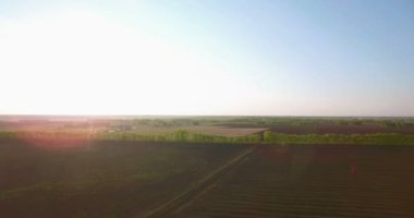 4 k hava manzara. Düşük uçuş yeşil ve sarı buğday kırsal alanın üzerine.