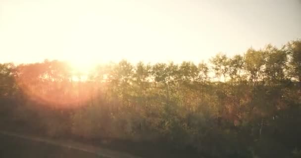 Vista aerea 4k. Volo basso sul campo rurale di grano verde e giallo . — Video Stock