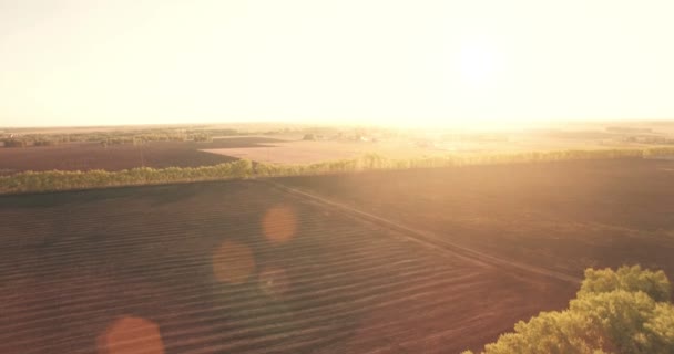 Vista aérea de 4k. Bajo vuelo sobre campo rural de trigo verde y amarillo . — Vídeo de stock