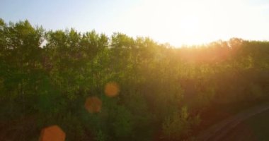 4 k hava manzara. Düşük uçuş yeşil ve sarı buğday kırsal alanın üzerine.