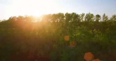 4 k hava manzara. Düşük uçuş yeşil ve sarı buğday kırsal alanın üzerine.