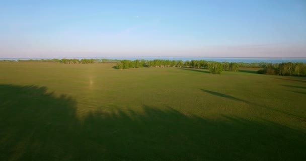 4 k luchtfoto. Lage vlucht over groene en gele rural tarweveld. — Stockvideo