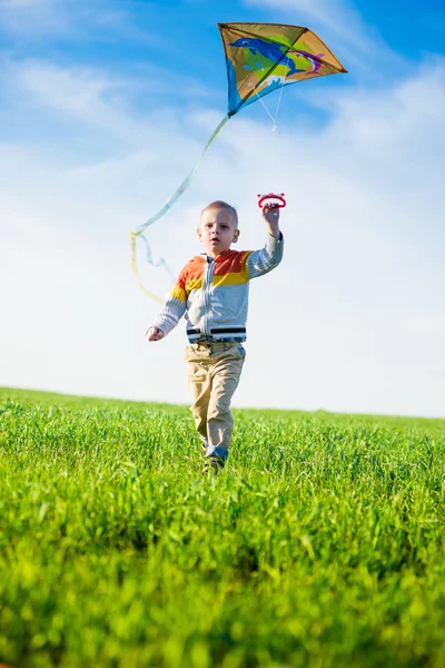 Young boy playing with his kite in a green field. — Stock Photo, Image