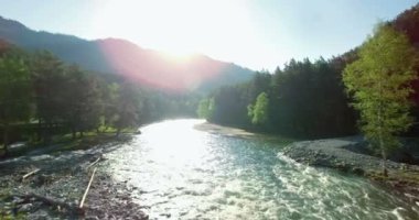 4 k Uhd havadan görünümü. Düşük uçuş üzerinde taze soğuk dağ nehir kıyısında güneşli yaz sabahı.