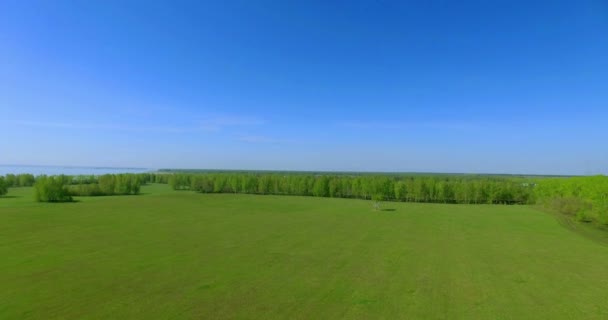 4 k luchtfoto. Lage vlucht over groene en gele rural tarweveld. — Stockvideo