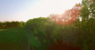 4 k hava manzara. Düşük uçuş yeşil ve sarı buğday kırsal alanın üzerine.