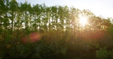 4 k hava manzara. Düşük uçuş yeşil ve sarı buğday kırsal alanın üzerine.