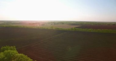 4 k hava manzara. Düşük uçuş yeşil ve sarı buğday kırsal alanın üzerine.