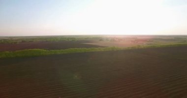 4 k hava manzara. Düşük uçuş yeşil ve sarı buğday kırsal alanın üzerine.