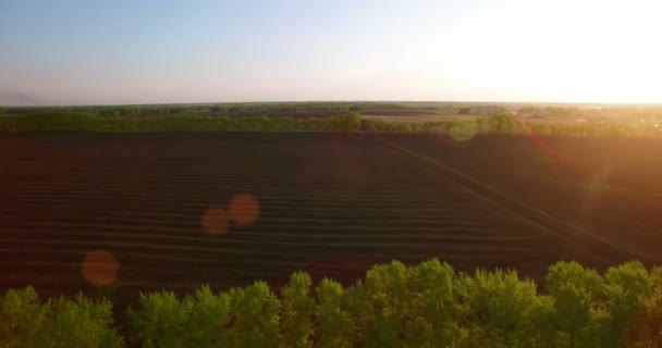 Vista aérea 4k. Vôo baixo sobre campo rural de trigo verde e amarelo . — Vídeo de Stock