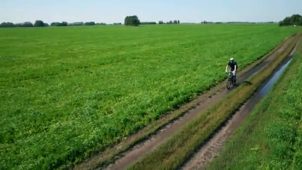 AERIAL: Young man cycling on bicycle at rural road through green and yellow field. — Stock Video