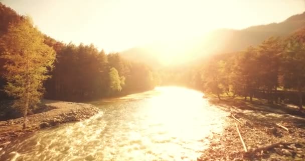 Vue aérienne 4k UHD. Vol bas au-dessus d'une rivière de montagne fraîche et froide au matin ensoleillé d'été . — Video