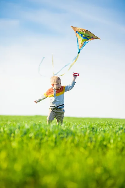 Young boy playing with his kite in a green field. — Stock Photo, Image