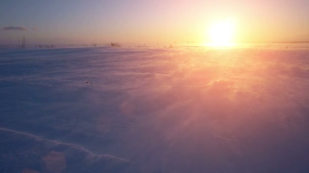 Schneesturm, Wind und Sonne. Arktische Kälte. Schneeverwehungen. — Stockvideo