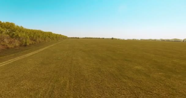 4 k légifelvételek. Alacsony repülés, zöld és sárga búza vidéki mező fölött. — Stock videók