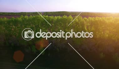 4 k hava manzara. Düşük uçuş yeşil ve sarı buğday kırsal alanın üzerine.