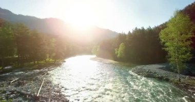 4 k Uhd havadan görünümü. Düşük uçuş üzerinde taze soğuk dağ nehir kıyısında güneşli yaz sabahı.