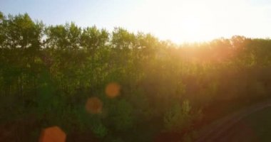 4 k hava manzara. Düşük uçuş yeşil ve sarı buğday kırsal alanın üzerine.