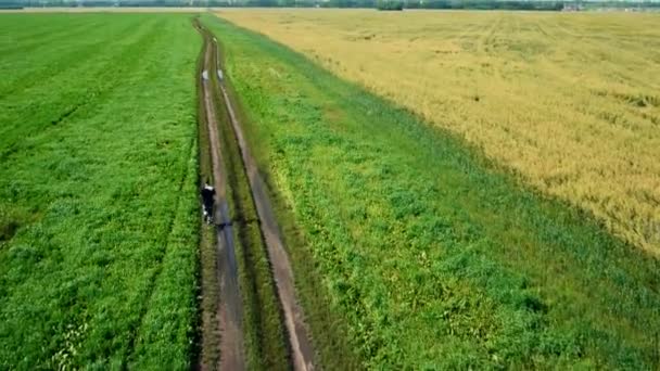 Antenne: Laufsportler Mann. Läufer joggen im Freien. Sport. — Stockvideo