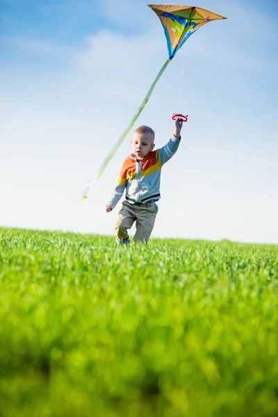 Young boy playing with his kite in a green field. — Stock Photo, Image