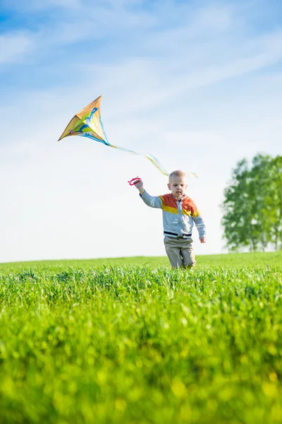 Genç çocuk onun uçurtma yeşil alan ile oynarken. — Stok fotoğraf