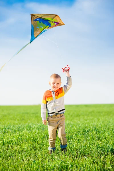 Genç çocuk onun uçurtma yeşil alan ile oynarken.