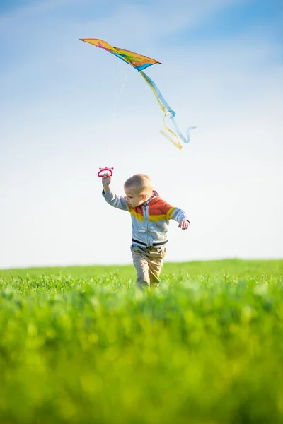 Jovem brincando com seu papagaio em um campo verde . — Fotografia de Stock