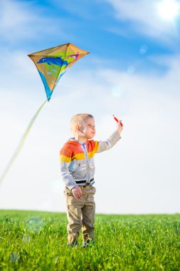 Genç çocuk onun uçurtma yeşil alan ile oynarken.