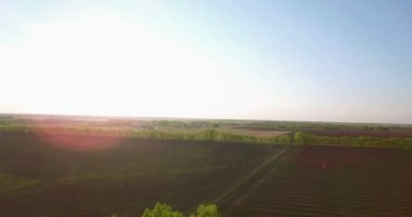 4 k hava manzara. Düşük uçuş yeşil ve sarı buğday kırsal alanın üzerine.