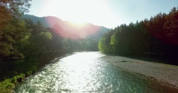 4 k Uhd havadan görünümü. Düşük uçuş üzerinde taze soğuk dağ nehir kıyısında güneşli yaz sabahı. — Stok video