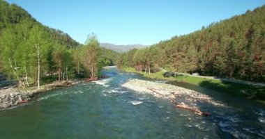 4 k Uhd havadan görünümü. Düşük uçuş üzerinde taze soğuk dağ nehir kıyısında güneşli yaz sabahı.