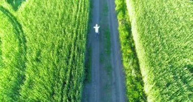 Kırsal yoldaki bir çim tarlasında bisiklet süren genç bir çocuğun hava manzarası. Güneş ışığı ve ışınlar.