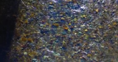 Güneşli yaz sabahında temiz ve taze bir dağ nehri üzerinde uçuşun ortasındayız. Üst görünüm ve yatay hareket