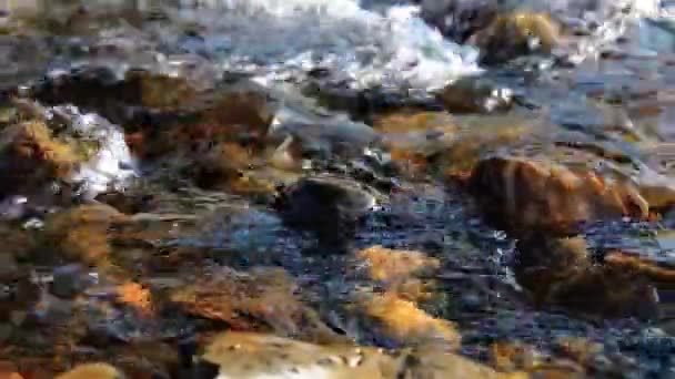 Dolly deslizante tiro da água espirrando em um rio de montanha perto da floresta. Rochas molhadas e raios solares. Movimento horizontal estável. — Vídeo de Stock