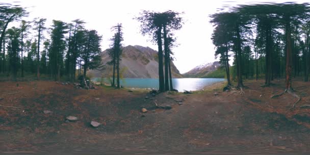 Lago de montaña 360 vr en el verano u otoño. Naturaleza salvaje y valle montañoso rural. Bosque verde de pinos y nubes rápidas en el cielo. — Vídeo de stock