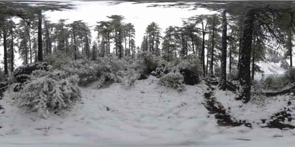 Mountain lake 360 vr at the winter time. Wild nature and mount valley. Green forest of pine trees and fast clouds on sky. — Stock Video