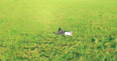 Yeşil çimlerin üzerinde sarı kırsal alanda not defteri olan bir adamın etrafında alçak yörünge uçuşları..