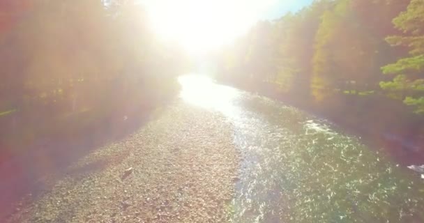 Laaggelegen vlucht over verse snelle bergrivier met rotsen op zonnige zomerochtend. — Stockvideo