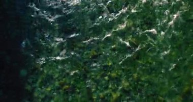 Güneşli yaz sabahında kayalarla birlikte taze, hızlı dağ nehri üzerinde alçak irtifa uçuşu..