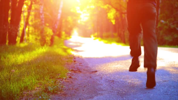 アスファルトの道路を走っているスポーツマン。農村都市公園。水平線の緑の森と太陽の光. — ストック動画