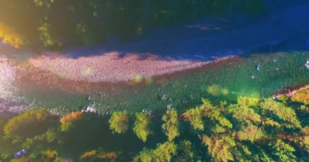 Vol en vol au-dessus d'une rivière de montagne fraîche et propre au matin ensoleillé d'été. Mouvement vertical — Video