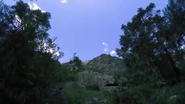 4K UHD montanha timelapse no verão. Nuvens árvores verdes e movimento de raios solares. — Vídeo de Stock