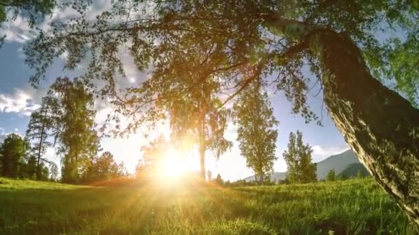 Mountain meadow time-lapse at the summer or autumn time. Wild nature and rural field. Motorised slider dolly movement. — Stock Video