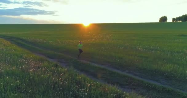 Το παιδί του αθλητισμού τρέχει μέσα από ένα χωράφι με πράσινο σιτάρι. Βραδινές αθλητικές ασκήσεις στο αγροτικό λιβάδι. Μια ευτυχισμένη παιδική ηλικία είναι ένας υγιής τρόπος ζωής. Ακτινική κίνηση, ακτίνες του ήλιου και γρασίδι. — Αρχείο Βίντεο