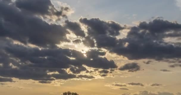 Plat colline prairie timelapse à l'heure du coucher du soleil d'été. Nature sauvage et champ rural. Rayons de soleil, arbres, herbe verte. Curseur de poupée motorisé — Video