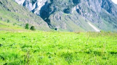 Sırt çantası ile yeşil dağ çayır üzerinde yürüyen adam hiking. Yaz spor ve eğlence kavramı.