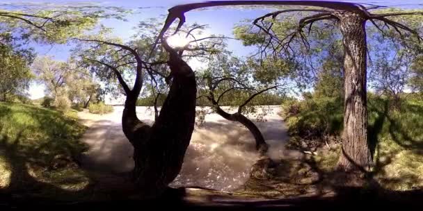 UHD 4K 360: Виртуальная реальность реки, плывущей по скалам в красивом горно-лесном ландшафте — стоковое видео