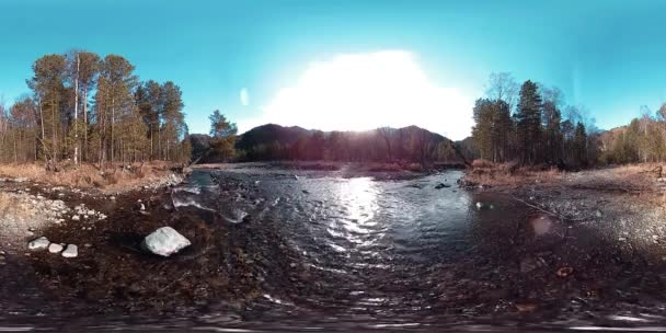 360 VR realidade virtual de uma montanha selvagem, pinhal e fluxos de rio. Parque nacional, prado e raios de sol. — Vídeo de Stock