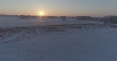 Arktik çayırlı soğuk kış manzarası, karla kaplı ağaçlar ve ufukta sabah güneşleri..