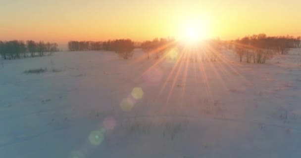 Воздушный беспилотник с видом на холодный зимний пейзаж с арктическим полем, деревья, покрытые морозным снегом и утренние солнечные лучи над горизонтом. — стоковое видео